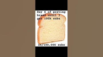 Day 6 of posting bread until I get 100k subscribers #foryou #bread #challenge #fypシ #day6 #100k