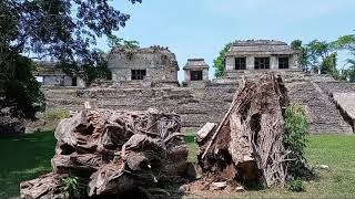 Zona arqueológica de Palenque, Chiapas.