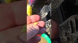 Unbelievable Gold Nugget Discovery! #shorts
