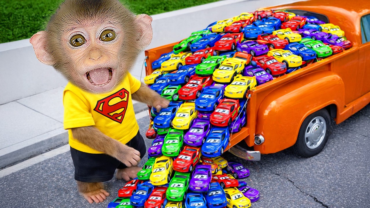 Monkey Lily stays home alone watching TV while waiting for her dad to come back! | LILY MONKEY TDC