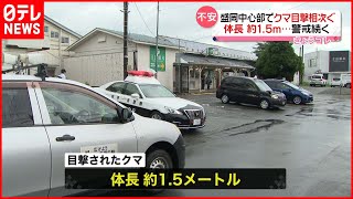 【警戒続く】クマの目撃相次ぐ「クマが移動している」岩手・盛岡市