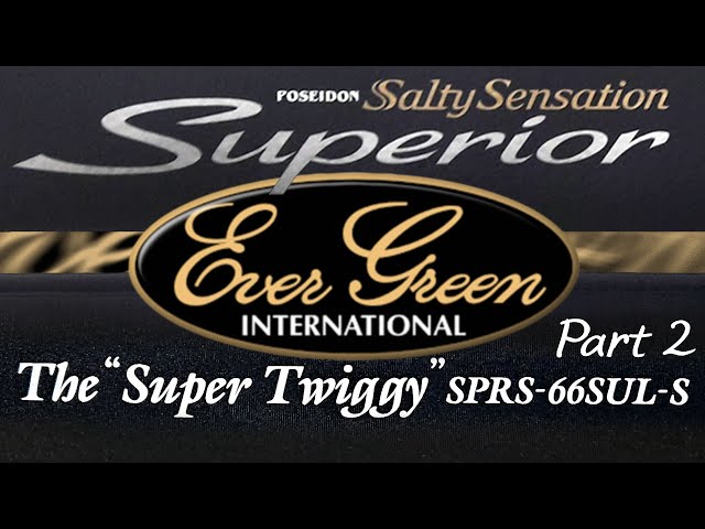 SPRS-66SUL-S - Part 2 - Objective. Continuing the review of the