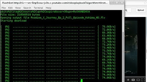 How To Download video useing terminal {Parrot sec}