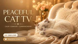 24 HOURS Cat TV LIVE 🐈 Cozy Music for Cats, Relaxation, Healing & Deep Sleep screenshot 5