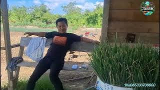 GUESTS FROM BERO ARRIVE TO BUY Scallions AT MBAH SO'S PLACE