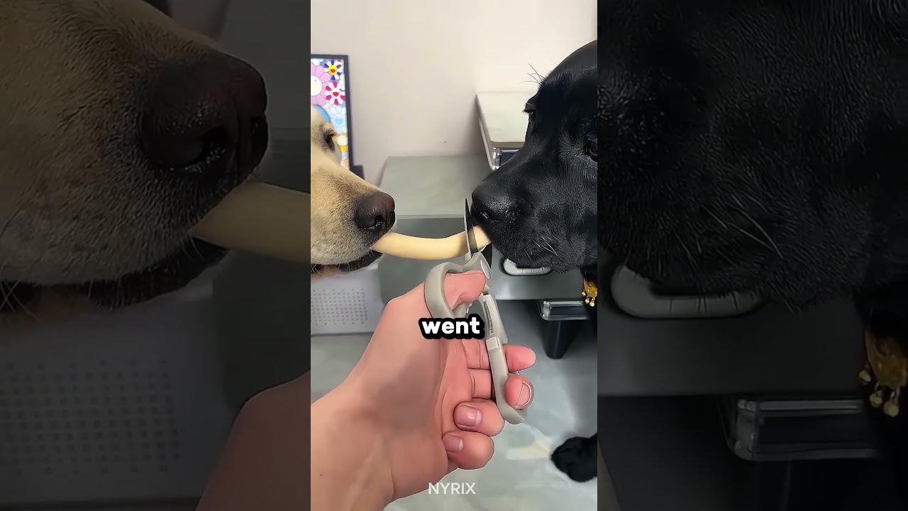 Really Sad 