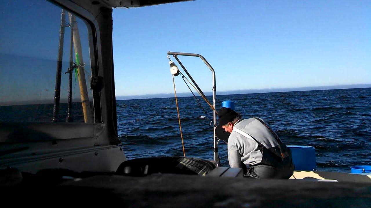 Deckhand Day Crabbing HMB YouTube