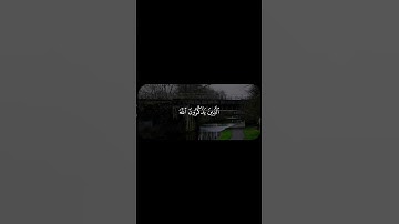 الَّذِينَ يَذْكُرُونَ اللَّهَ قِيَامًا وَقُعُودًا وَعَلَىٰ جُنُوبِهِمْ - سورة آل عمران | محمد أيوب