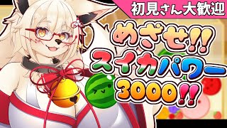 【スイカゲーム】もちもちケモVtuberが3000点目指して頑張るッ！！【Vtuber】