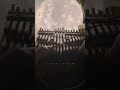 瑠璃色の地球/松田聖子 34key半音付きカリンバ kalimba