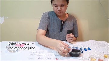 Bibares, Hoshiahna~Labatory Exercise No 3 ACIDS AND BASES AND SOLUBILITY EQUILIBRIA