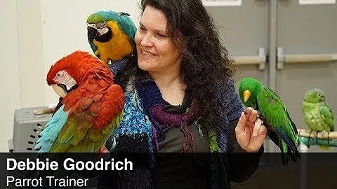 Interesting People #8 - Debbie Goodrich: Parrot Tr...