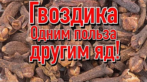 Польза и вред Гвоздики | Почему нельзя принимать гвоздику?