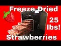 25 lbs of freeze dried strawberries
