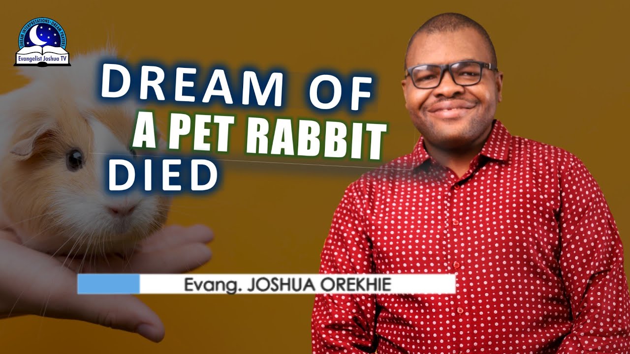 Dream About a Pet Rabbit Dying Find out the Biblical meaning of