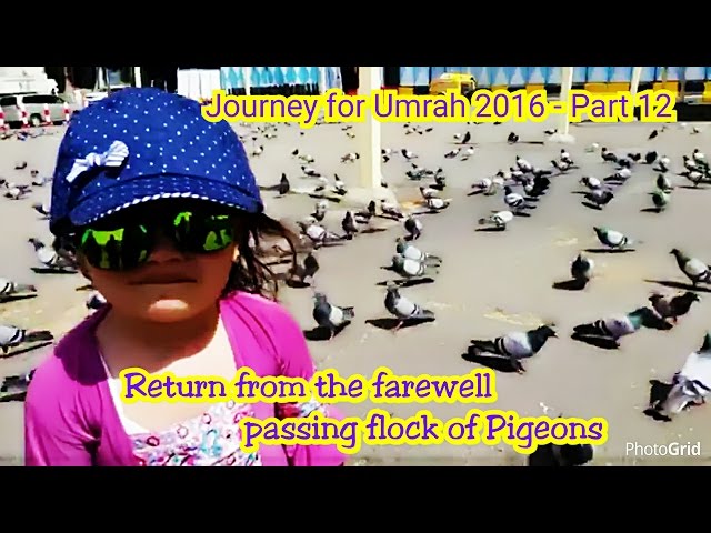 Journey for Umrah 2016 - Al Musyarrofah Jakarta - Part 12 - Monday, April 10, 2016 class=