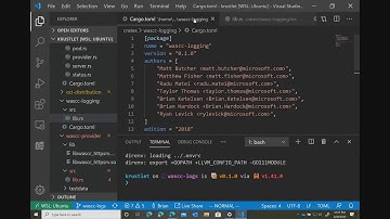 Testing Video Encoder
