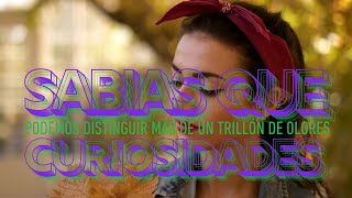 CURIOSIDADES II