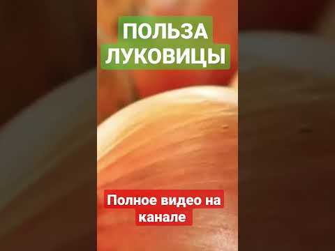 ПОЛЬЗА ЛУКА | ЛУКОВИЦА |
