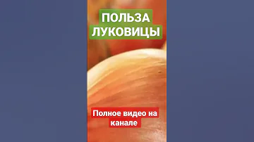 ПОЛЬЗА ЛУКА | ЛУКОВИЦА |