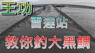 王功雷達站釣魚 如何釣獲大黑鯛 這集就告訴大家 我的方法