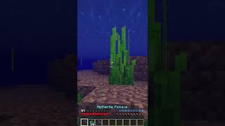 Minecraft, But Sea Grass is Insanely OP...