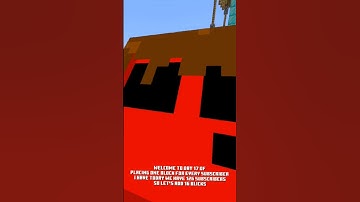 Day 17 of placing one block for every subscriber I have #minecraft #memes #shorts