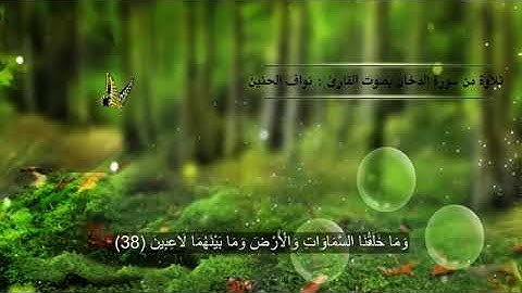 تلاوه جميله للقارئ نواف بن أحمد الحنين من سورة الدخان قراء الأحساء
