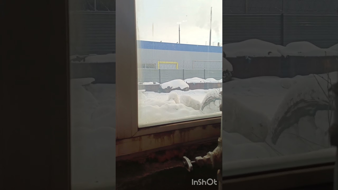 Азату не очень хорошо!