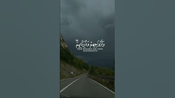 حالات واتس قرآن بصوت القارئ أحمد النفيس