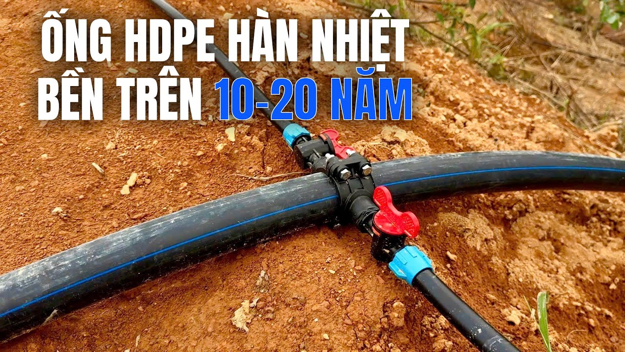 Ống HDPE hàn nhiệt cực bền | Lắp đặt hệ thống tưới 15Ha Sầu Riêng đất đồi dốc phức tạp
