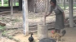 P2P. Power To The Poor. Poor Family Moved From Bungkut To Nongluang Khamkeut Bolikham