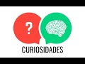 TOP 10 curiosidades sobre Portugal - Primeiros passos para Morar em Portugal