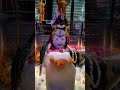 Shiv ji bhajan🙏#shivjistatus #bababaidyanathjyotirlinga #mahadevwhatsappstatus