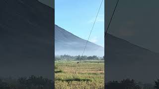 At Camalig bypass road