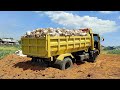 Dump Truk//Mobil truk Batu Amblas Saat Jomplang Muatan