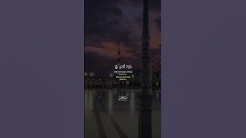 آيات من سورة الرحمن ❤️بصوت الشيخ ياسر الدوسري 🤍🫀🎧 #اكسبلور #قرآن #duet #quran #المصحف #لايك #دويتو