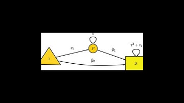 metaSEM: An R Package for Meta-Analysis using Structural Equation Modeling | RTCL.TV
