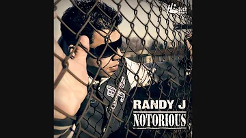 Tu Te Meri Jaan | Randy J Ft H Sandhu l Notorious l Out Now