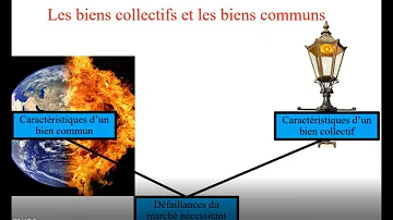 Qu'est-ce qui distingue un bien commun d'un bien collectif ?