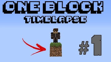 Minecraft One Block Skyblock Timelapse #1