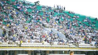 16.08.2014 Ворскла - Металург Донецьк