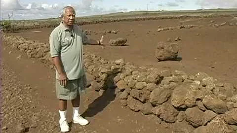 Ka Na'i Aupuni - Birth Stones