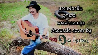 แอมเฟตามีน ลูกเสือ นางฟ้าดอกปุด cover by วุฒิ ป่าบอน