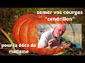 Comment semer les courges au jardin