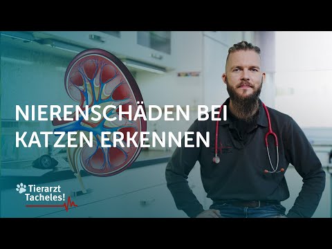 Video: 5 unverzichtbare Gesundheits- und Wellnessprodukte von der Global Pet Expo 2012