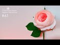 Crepe paper flower "Juliette Rose" making tutorial n.61 | DIY | Healing