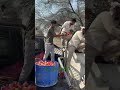 #goushala #hindu #neet #ipl #bjp #marwari #veterinary #doctar #new #viral #topfunnymoments