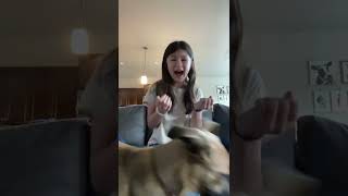 My Dog Was Twerking On Me While I Was Doing A Video Ha Ha