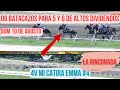 06 BATACAZOS PARA EL 5 Y 6 BUSCANDO UN CUADRO UNICO DOMINGO 10 DE AGOSTO 2025